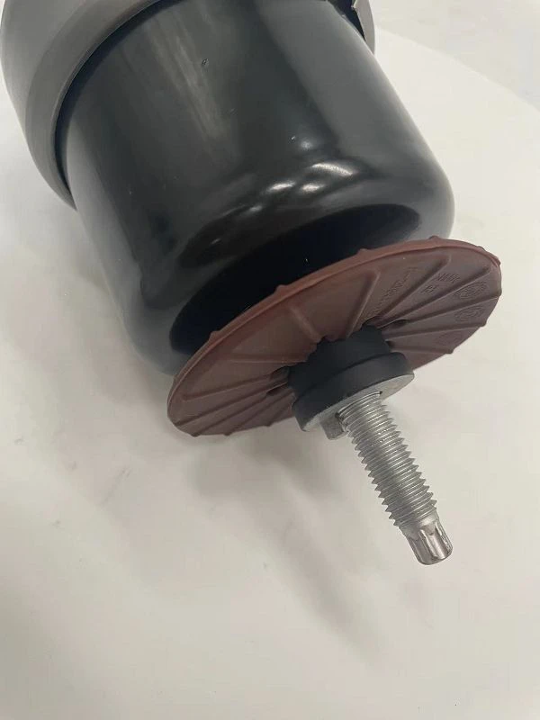 Acura tl engine mount001