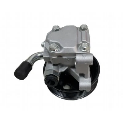 Racing power steering pump