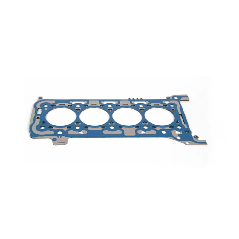 Everest Gasket