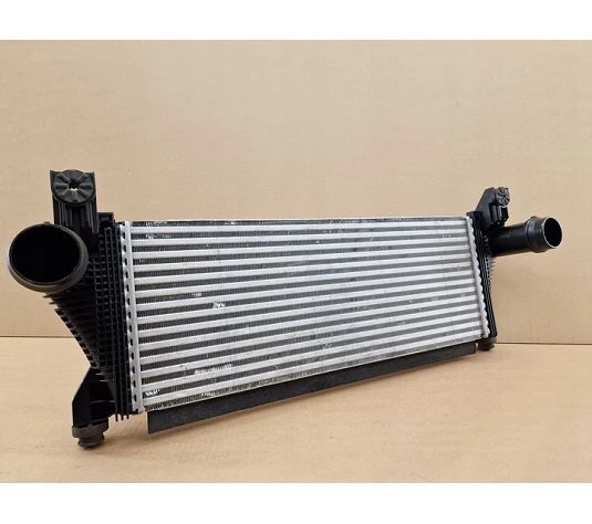 Raptor Intercooler001 Raptor Intercooler001