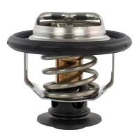 Engine Coolant Thermostat