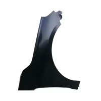Front Fender LH