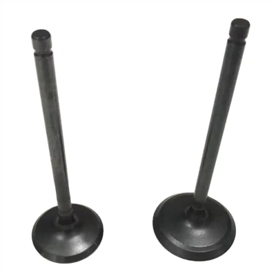 Intake/Outake Valve