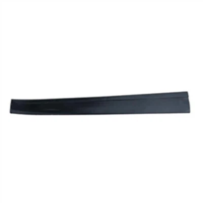 MOULDING FR DOOR RH