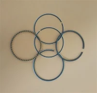 Piston Ring 2593038
