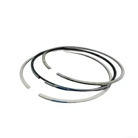 Piston Rings